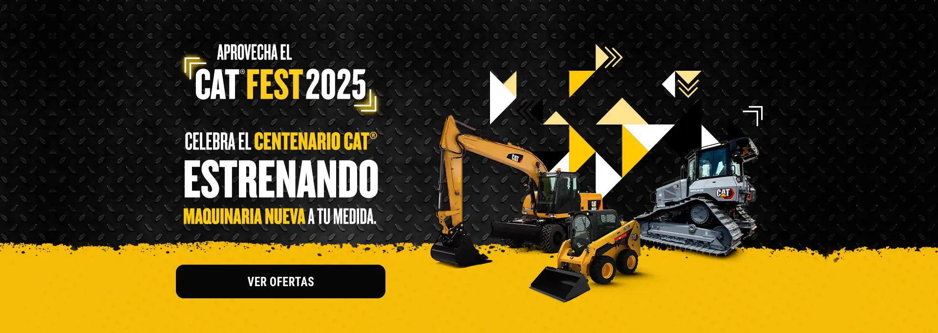 Cat Fest 2025
